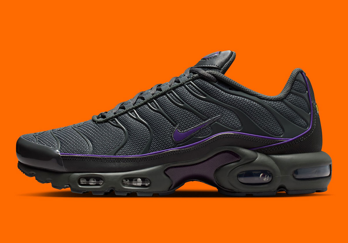 Nike Air Max Plus Iron Grey Wild Grape Hv8066 001 1