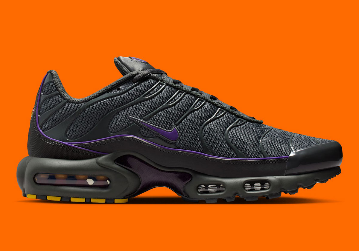 Nike Air Max Plus Iron Grey Wild Grape Hv8066 001 3