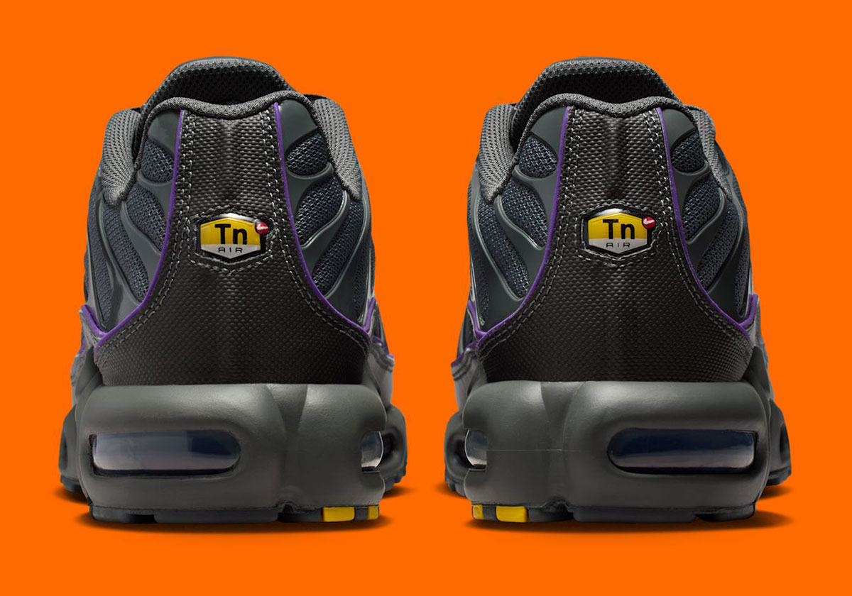 Nike Air Max Plus Iron Grey Wild Grape Hv8066 001 6