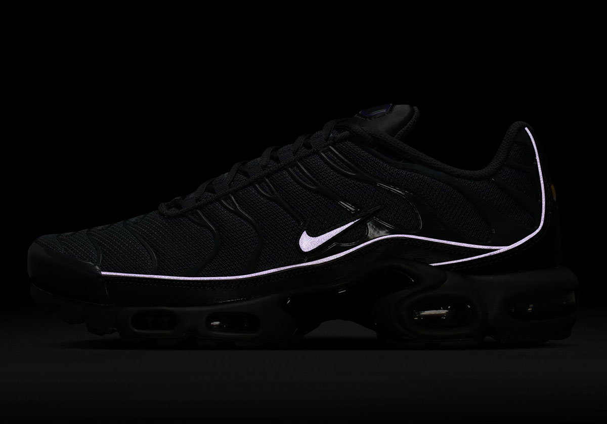 Nike Air Max Plus Iron Grey Wild Grape Hv8066 001 9