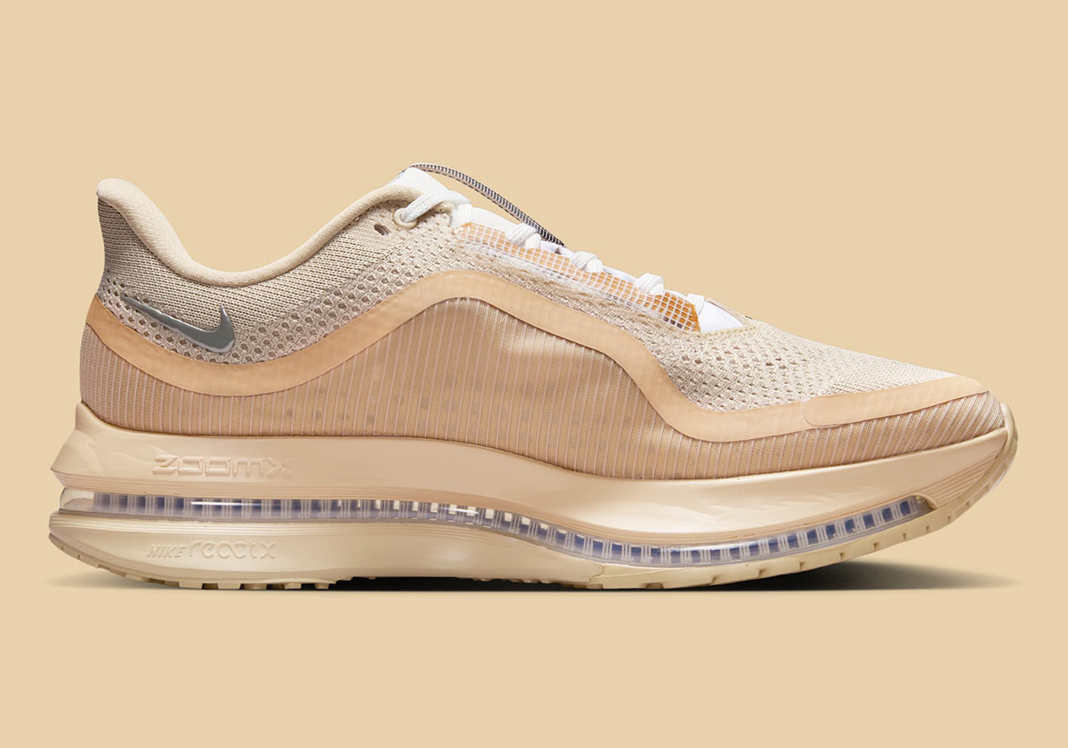Nike Pegasus Premium Sp Mushroom Metallic Silver Ih4369 200 5