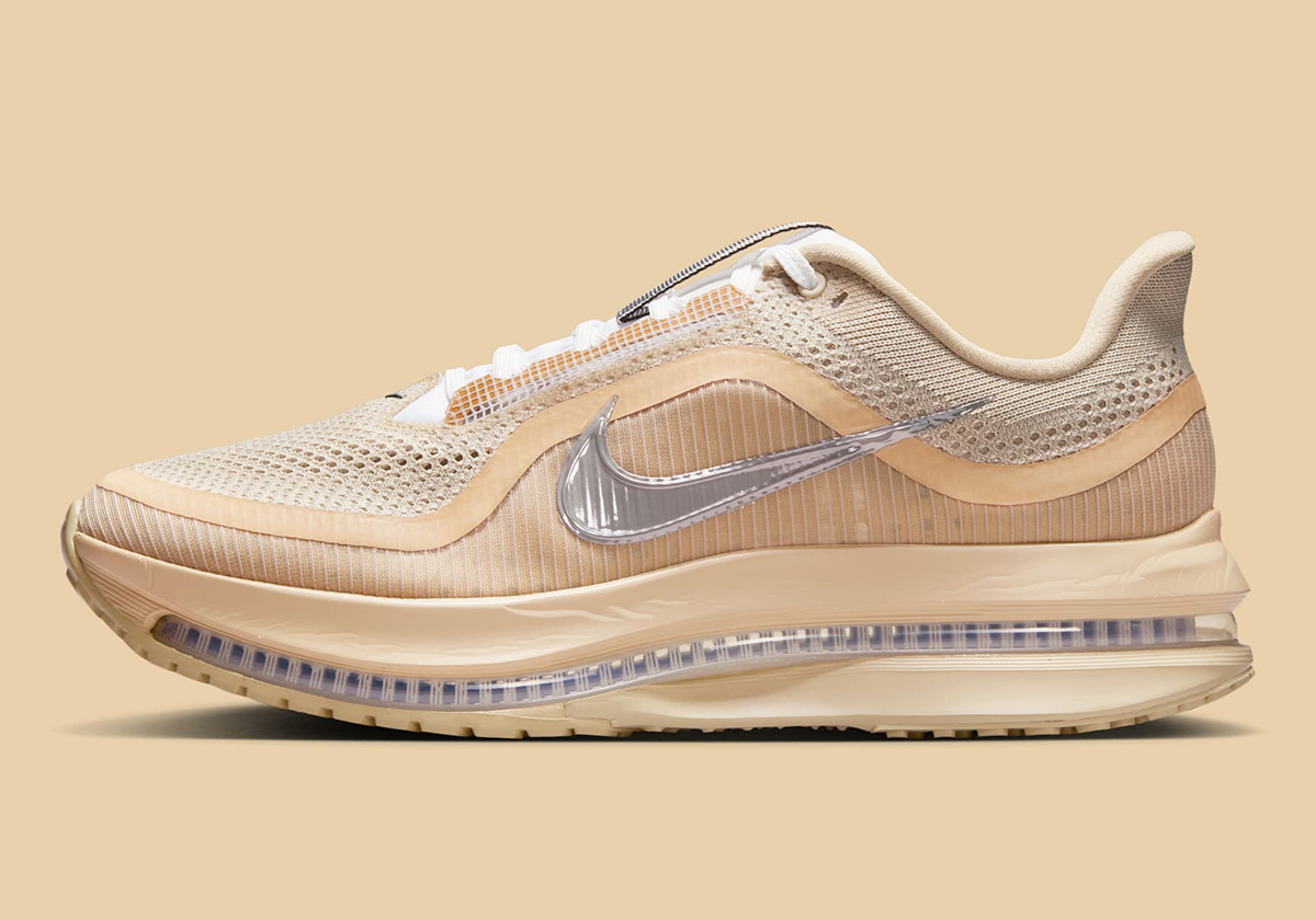 Nike Pegasus Premium Sp Mushroom Metallic Silver Ih4369 200 7