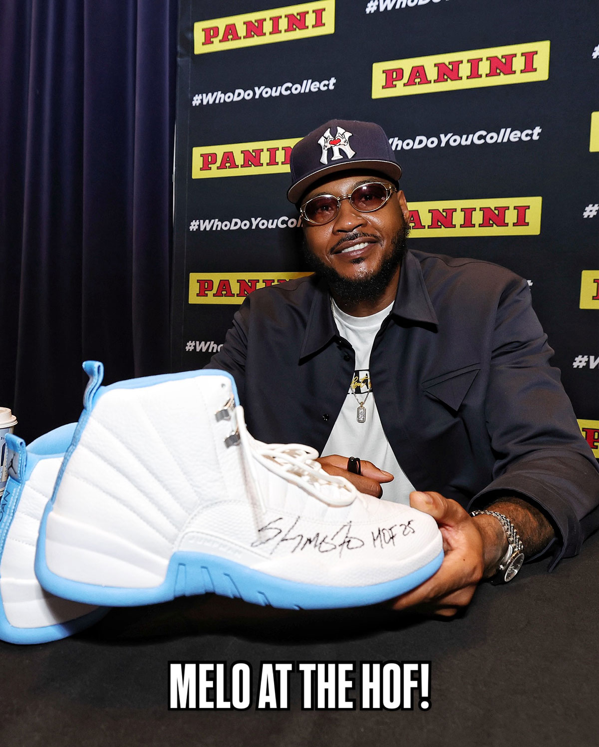 Carmelo Anthony Air Jordan 12 Melo Hall Of Fame 2