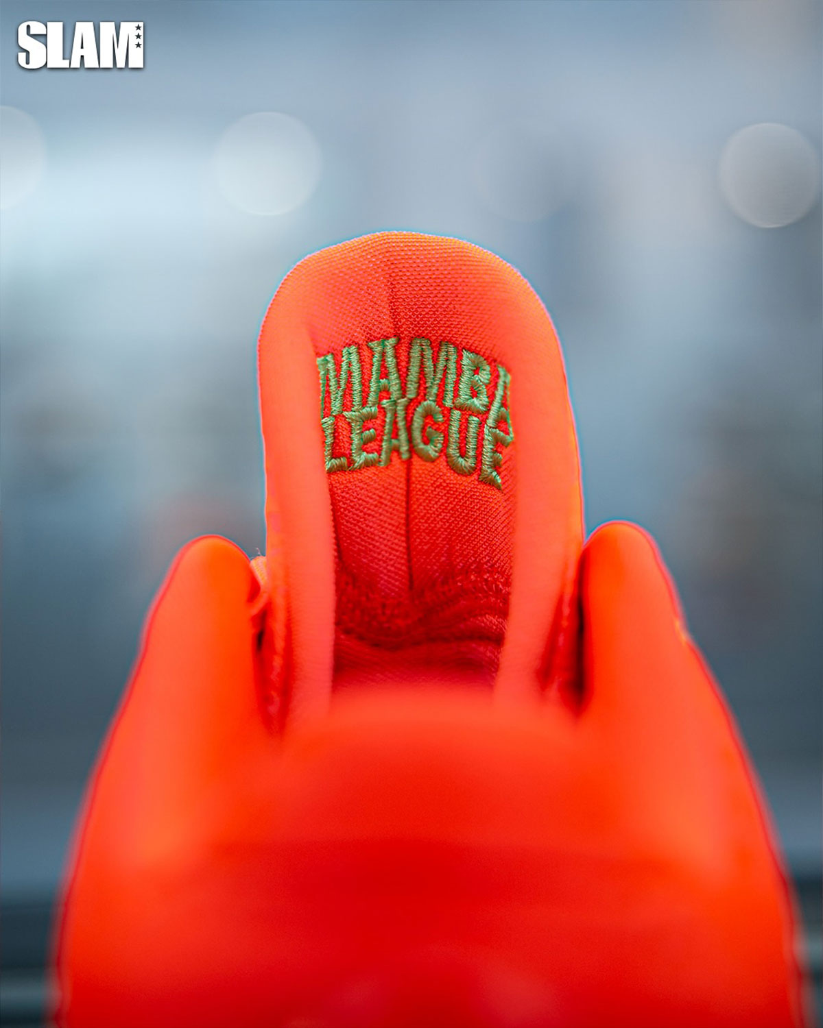 Nike Kobe 5 Protro Year Of The Snake Mamba League 5